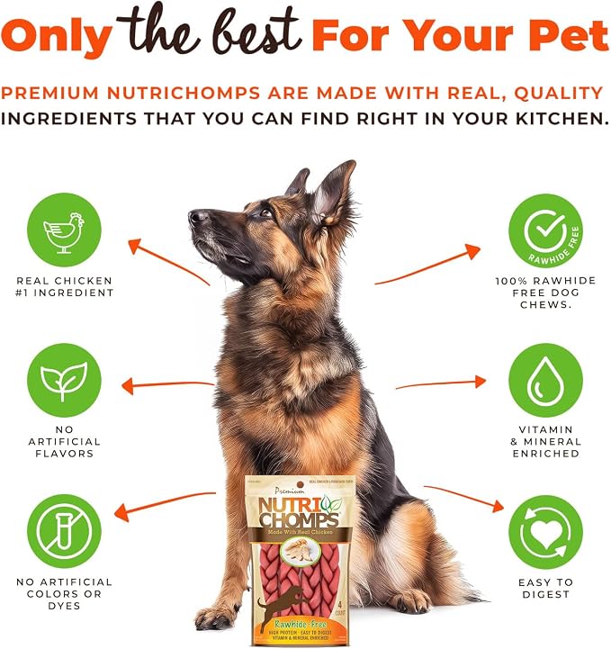 NutriChomps Dog Chews, 6-inch Braids, Easy to Digest, Rawhide-Free Dog Treats, Healthy, 4 Count, Real Chicken flavor