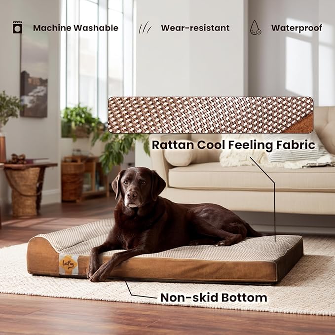 Laifug Orthopedic Dog Beds for Large Dogs,3" Memory Foam Dog Beds,Durable Water Proof Liner Removable and Washable, Nonskid Bottom, Brown 40"x25"x3"