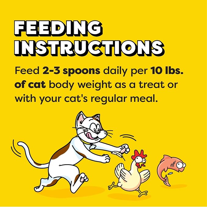 Temptations Lickable Spoons, Soft Lickable Cat Treats, Adult Wet Cat Treats, Salmon Flavor with Chicken Chunks, 4 Spoons, Pack of 12 (48 Total)