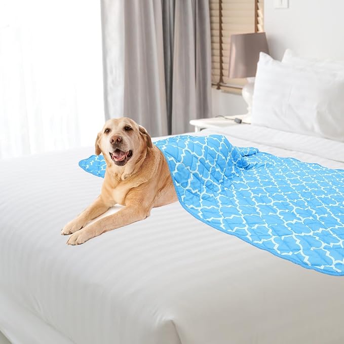 PUPTECK Dog Cooling Mat for Medium Large Dogs, Blanket for Kennels Crate Floor, Pets Cooling Pad, Dog Cat Summer Sleeping Outside, Sky Blue Large 28"x40"