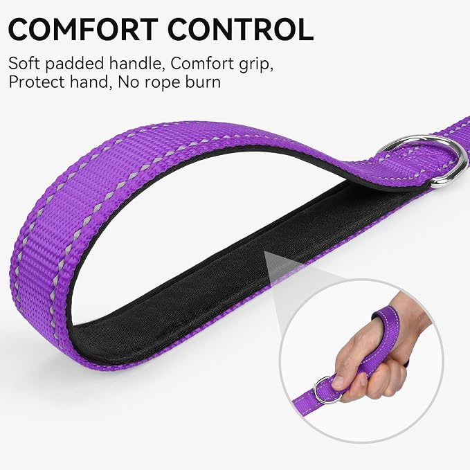 Joytale Dog Leash, 5 FT Double-Sided Reflective, Padded Handle Nylon Heavy Duty Leashes for Medium & Large Dogs Walking, Purple