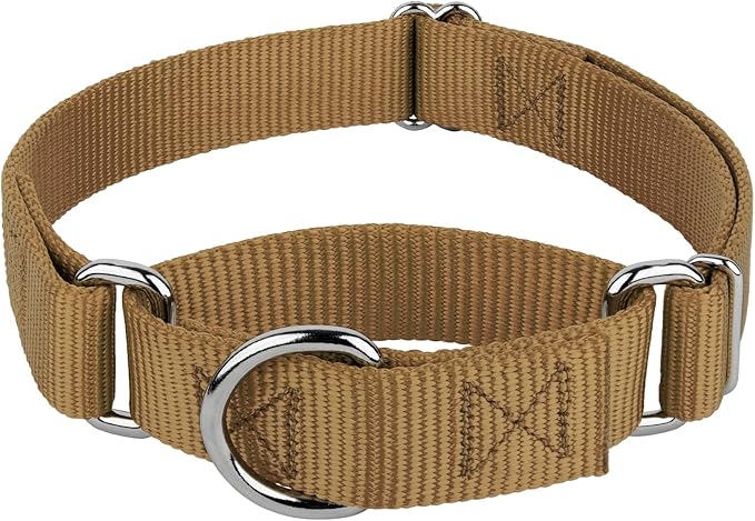 Country Brook Petz - Martingale Dog Collar - Heavy-Duty Training Collar with No Buckle - Service Dog Collar for All Pups - 20 Vibrant Colors (Coytote Tan, 3/8 Inch, 3XS)