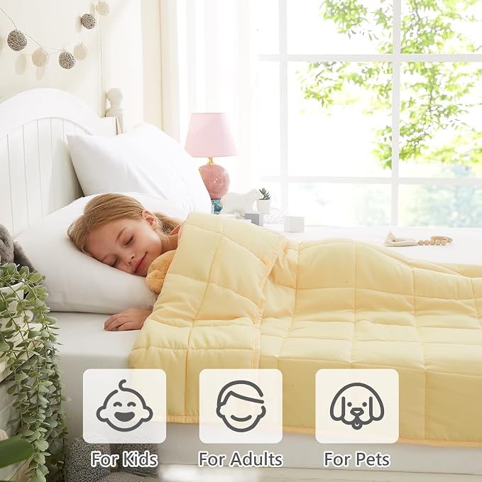 L'AGRATY Weighted Blanket - 36"x48" 3lbs Microfiber Material with Glass Beads Small Blanket for All-Season Summer Fall Winter Soft Thick