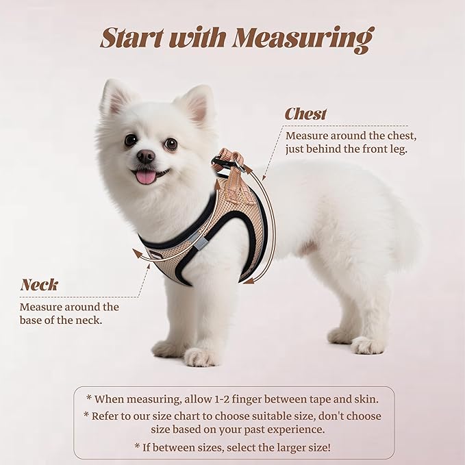 YIMEIS Dog Harness and Leash Set, No Pull Soft Mesh Pet Harness, Reflective Adjustable Puppy Vest for Small Medium Large Dogs, Cats (Flesh Pink, Medium (Pack of 1)