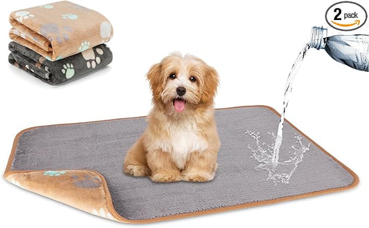 YUEPET Waterproof Dog Blankets, 2 Pack Washable Dog Blankets for Bed Couch Sofa Protector Fleece Flannel Puppy Blanket Soft Plush Reversible Throw Blanket for Small Dogs Puppy Cat 23"×16"(Grey+Coffee)