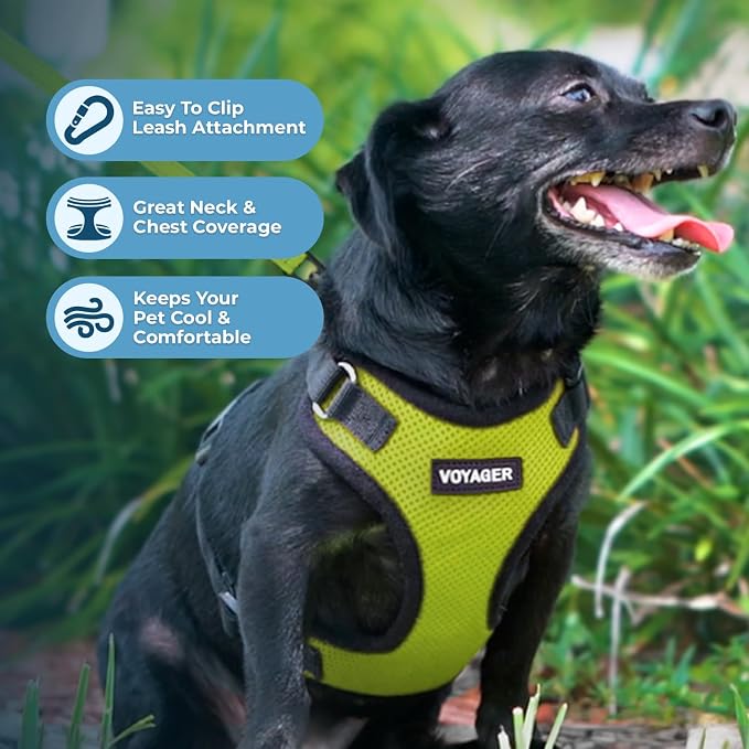 Voyager Step-in Pet Harness - All Weather Mesh, Adjustable Step in Harness for Cats and Dogs by Best Pet Supplies - Lime Green/Black Trim, XL