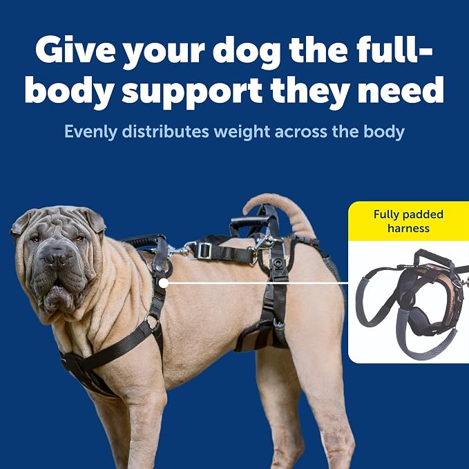PetSafe CareLift Dog Lift Harness, Full Body Lifting & Support Sling with Handle & Shoulder Strap, Medium