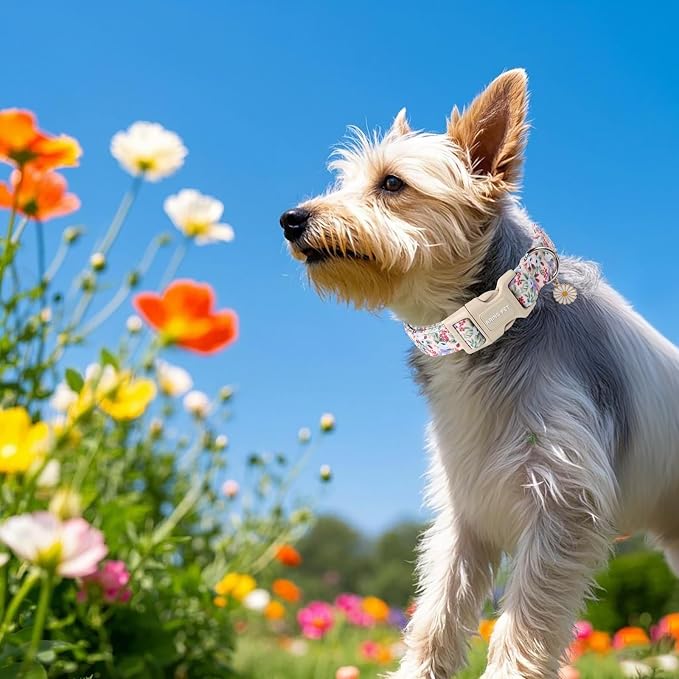 ARING PET Floral Dog Collar, Cute Purple Flower Spring Summer Pet Collars with Quick Release Buckle for Puppy Small Medium Large Boy Girl Dogs-XS