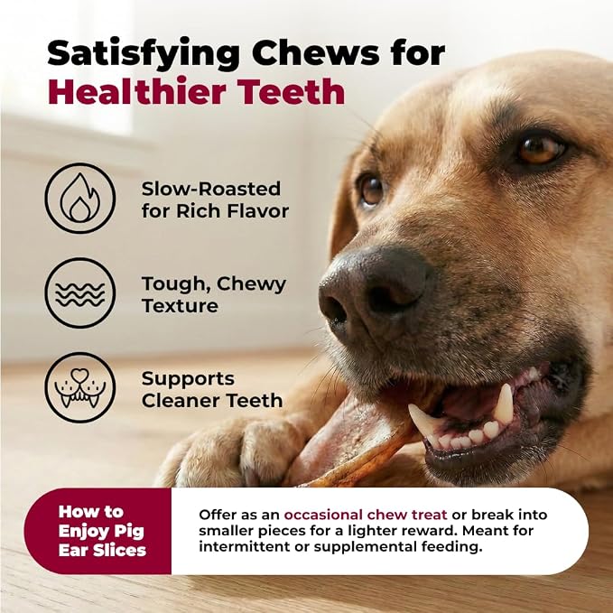Best Pet Supplies GigaBite Roasted Pig Ears for Dogs - Natural Dog Chews, Roasted Pigs Ears, Safe for Puppies and Aggressive Chewers, Cleans Teeth and Gums - Slivers, 1.8 Pounds