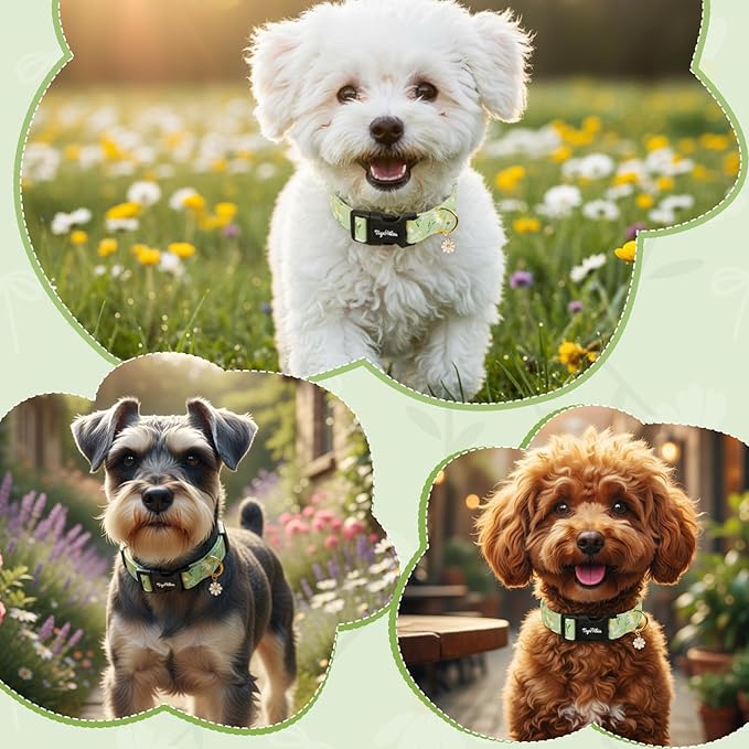 Dog Collar with Daisy Patterns, Spring Summer Collection Green Dog Collar with Exquisite Pendant, Durable Adjustable Collars for Gifts & Daily Use-XS