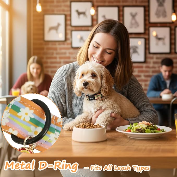 Dog Collar with Rainbows & Flowers Patterns, Spring Summer Collection Dog Collar with Exquisite Pendant, Durable Adjustable Collars for Gifts & Daily Use-M
