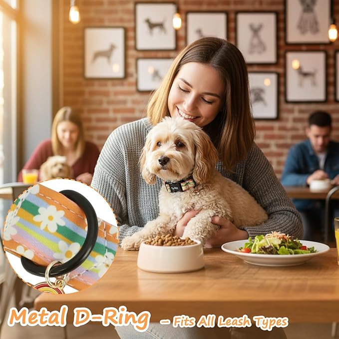 Dog Collar with Rainbows & Flowers Patterns, Spring Summer Collection Dog Collar with Exquisite Pendant, Durable Adjustable Collars for Gifts & Daily Use-S