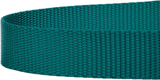 Country Brook Petz - Everyday Nylon Dog Leash - Strong, Durable, Solid Color Leash with Easy to Use Snap - 25+ Colors (1 Inch Wide, 6 Foot, Teal)