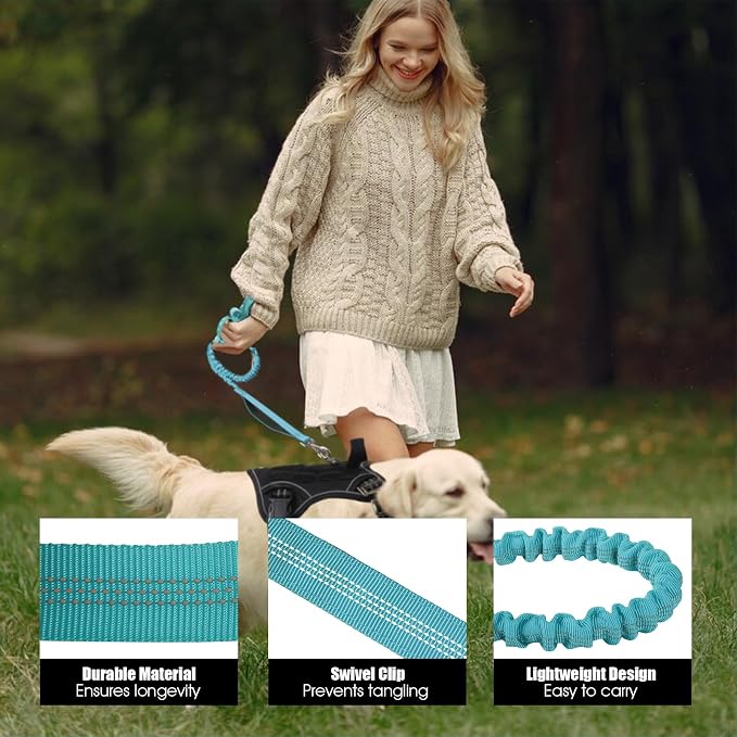 BUMBIN 6Ft Dog Leash Large Dogs, Bungee Dog Leash with 2 Handles, Heavy Duty Leashes for Medium Small Dogs, No Pull Shock Absorbing，with Car Seat Belt for Training, Blue