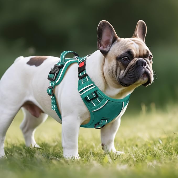 Timos Dog Harness Small Sized, No Pull Pet Harness with Neck Lockable Snap, No Choke Front Clip Reflective Vest, Adjustable Metal Rings 3 Buckles, Easy Control Handle for Small Dogs Grass Green S