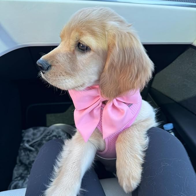 Maca Bates Cherry Pink Dog Collar with Cute Solid Sailor Bow Tie for Extra Large Girl Boy Dogs,Girly Adjustbale Durable Breakaway Soft Collars with Bowtie for Female Male Puppy,Pet with Metal Buckle