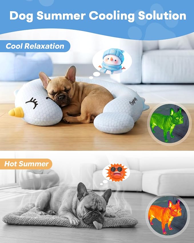 BurgeonNest Cooling Small Dog Pillow for Puppies and Cats, Summer Chill Pet Calming Pillow with Cool-Touch Fabric, Soft Sleep Bolster for Senior Dogs & Kittens, Machine Washable (Cool Blue, Large)