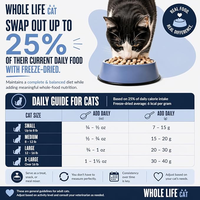 Whole Life Cat Just One Turkey Freeze Dried Cat Treats - Human Grade High Protein Food, Healthy Training Snacks, Freeze Dried Turkey Food Toppers, USA Made Natural Treats - 2.5 oz (Pack of 1)