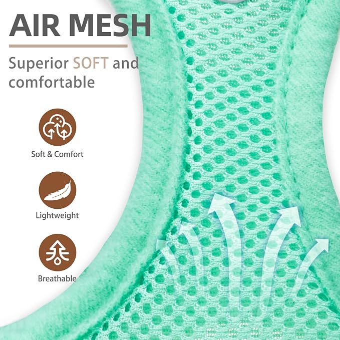 PUPTECK Adjustable Dog Harness Collar and Leash Set Step in No Pull Pet Harness for Small Medium Dogs Puppy and Cats Outdoor Walking Running, Soft Mesh Padded Reflective Vest Harnesses, Solid Green XS