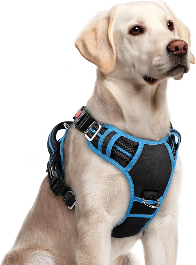 rabbitgoo Dog Harness for Large Dogs, 3 Buckles Easy On & Off No Pull Pet Vest, Soft Padded Walking Pet Harness with Control Handle, Adjustable and Reflective, Black & Sky Blue, L