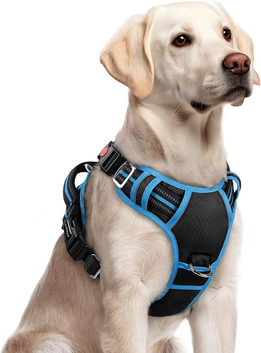 rabbitgoo Dog Harness for Large Dogs, 3 Buckles Easy On & Off No Pull Pet Vest, Soft Padded Walking Pet Harness with Control Handle, Adjustable and Reflective, Black & Sky Blue, L