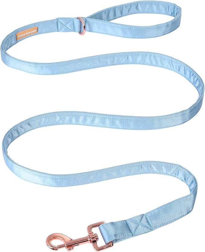 Unique style paws Silk Dog Leash Durable Dog Leashes with Welded D-Ring Comfortable Handle for Small Medium Large Dogs Z-Sky