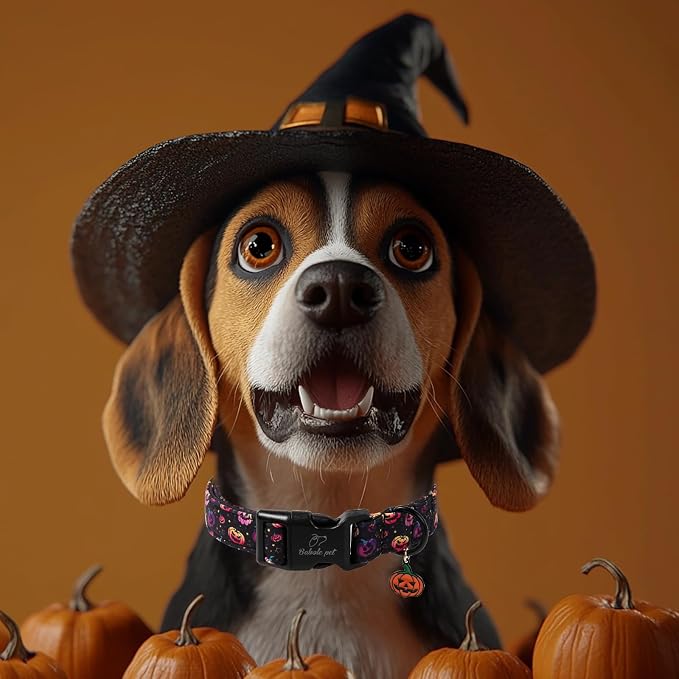 Halloween Dog Collar Spooky Fun Pumpkin Puppy Collar - Light Comfortable Adjustable Pet Collars for Small Medium Large Girl Boy Dogs XS