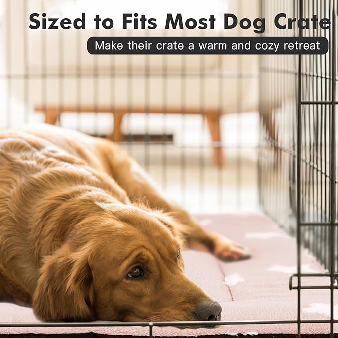 Mora Pets Cat Bed for Indoor Cats Washable Dog Crate Pad Cute Star Dog Bed Mat for Small Dogs Pet Kennel Pad for Cage Soft Flat Puppy Kitten for Sleeping Anti-Slip Pink 22 x 13 inch 2 Pack