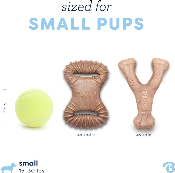Benebone Puppy 2-Pack Dental Chew/Wishbone Durable Dog Chew Toys for Gentle Chewers, Real Bacon, Made in USA, Small