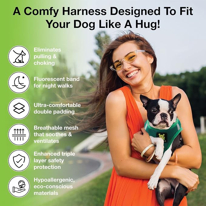 EcoBark Teacup Dog Harness - Toy Breed Dog Harnesses for Tiny Dogs - Luxury Soft Step in Mini Body Halter - Puppy Harness- Dog Vest Under 5 pounds lbs (XXXS, Forest Green)