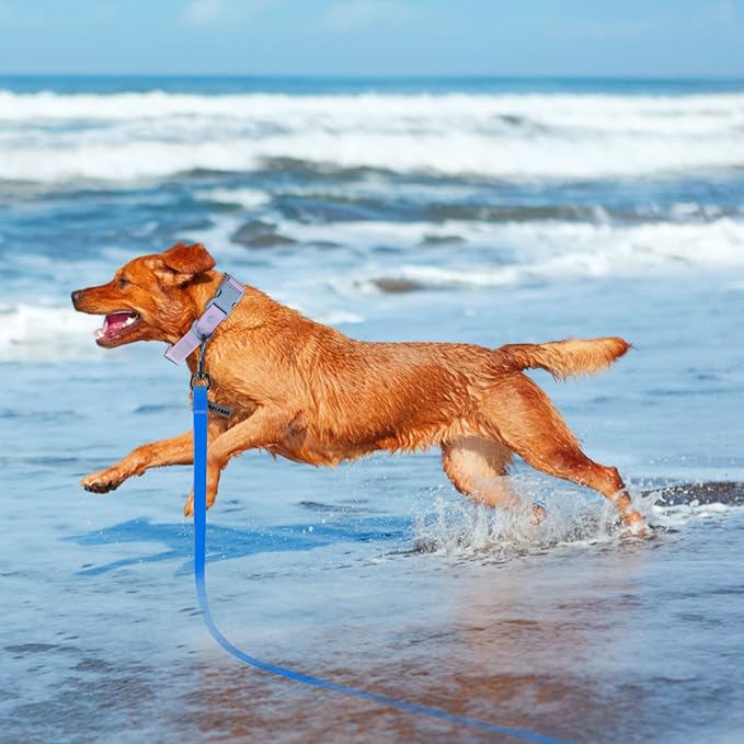 Wolfone 20ft Blue Long Leash - Waterproof Training Dog Leash for Recall, Swimming, Camping, Beach, Hunting, Walking