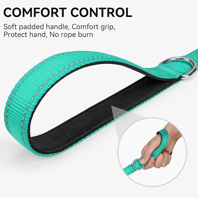 Joytale Dog Leash, 6 FT Double-Sided Reflective, Padded Handle Nylon Heavy Duty Leashes for Small Dogs Walking, Teal