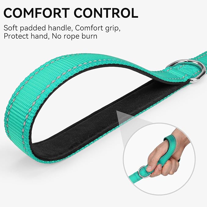 Joytale Dog Leash, 4 FT Double-Sided Reflective, Padded Handle Nylon Heavy Duty Leashes for Small Dogs Walking, Teal