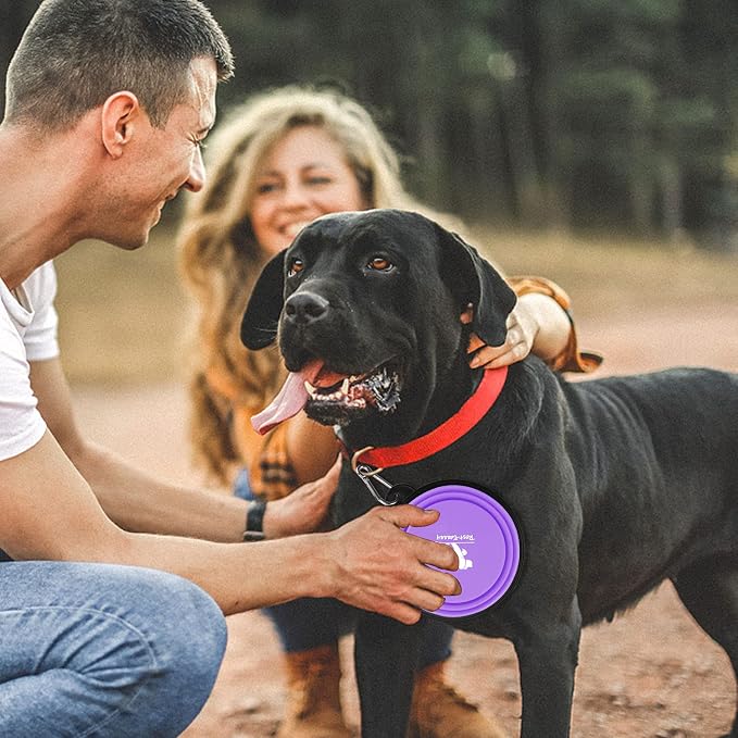 Collapsible Dog Bowls for Travel, 2-Pack Dog Portable Water Bowl for Dogs Cats Pet Foldable Feeding Watering Dish for Traveling Camping with Carabiners, BPA Free (Purple&Pink, Small (Pack of 2))
