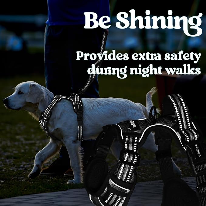 rabbitgoo Dog Harness Small Sized, No Pull Easy On & Off with 3 Buckles Pet Harness, Adjustable Soft Walking Vest with 2 Clips and Handle, Reflective for Small Dogs, Mountain Black, S
