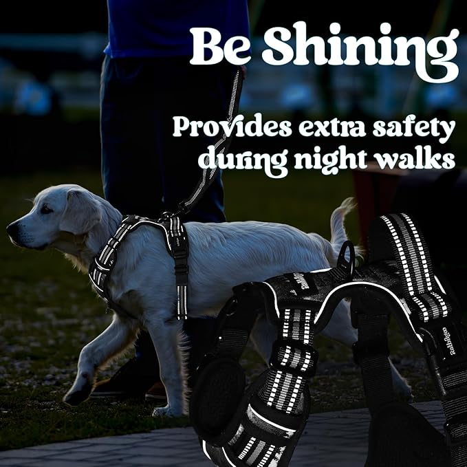 rabbitgoo Dog Harness for Large, No Pull Easy On & Off with 3 Buckles Pet Harness, Adjustable Soft Walking Vest with 2 Clips and Handle, Reflective for Large Dogs, Mountain Black, L