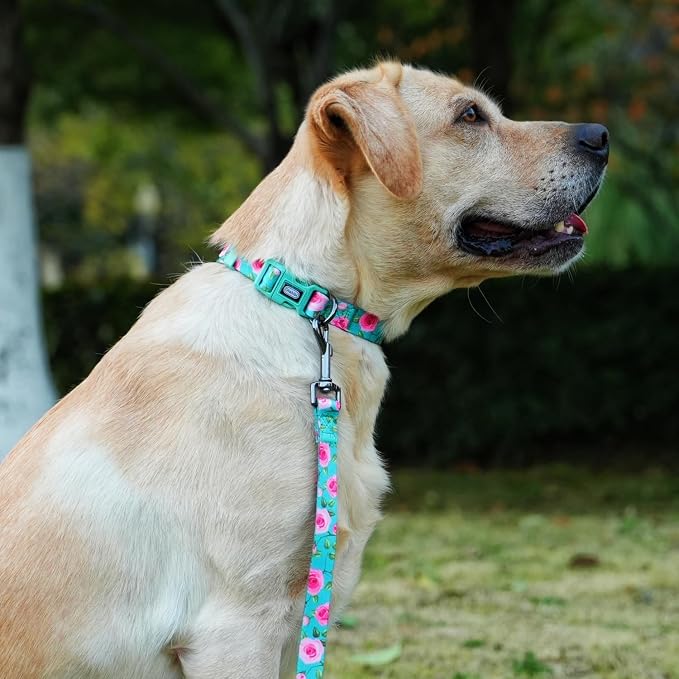 Dog Collar and Leash Set, Rose Pattern, Polyester Material, 5ft Matching Leash, for Small Dogs.(S, Green Rose Set)