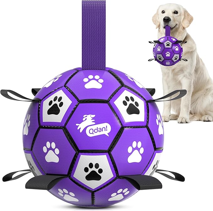 QDAN Soccer Ball for Dogs - Durable Large Dog Balls, Outdoor & Water Toy, Herding Ball, Puppy Birthday Gift (8 Inch)