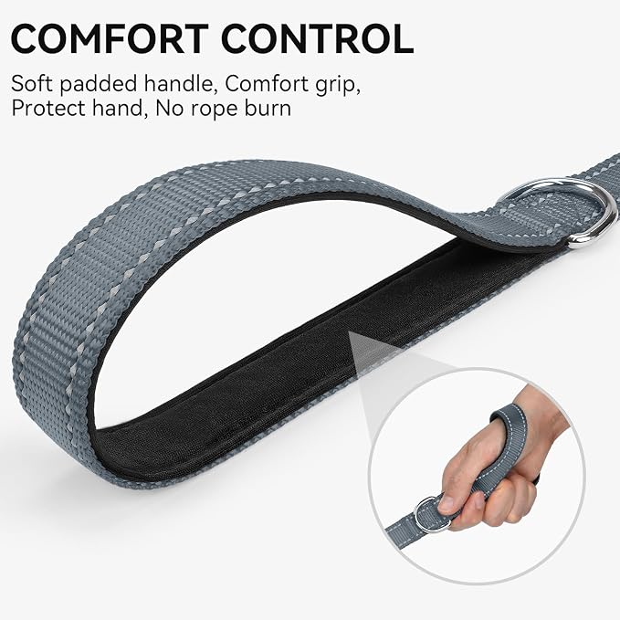 Joytale Dog Leash, 6 FT Double-Sided Reflective, Padded Handle Nylon Heavy Duty Leashes for Small Dogs Walking, Grey