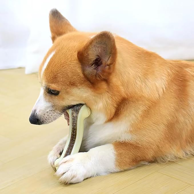 Dog Bones for Aggressive Chewers, 6 Pack Nylon Chew Toys, Real Beef Flavor, Durable Teething Toys for Medium/Small Dogs