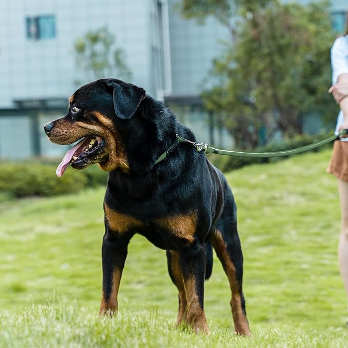 Dog Leash, Braided Rope Traction – Walking Training Lead for Small Dogs ((1/3") x 6FT, Dark Green)