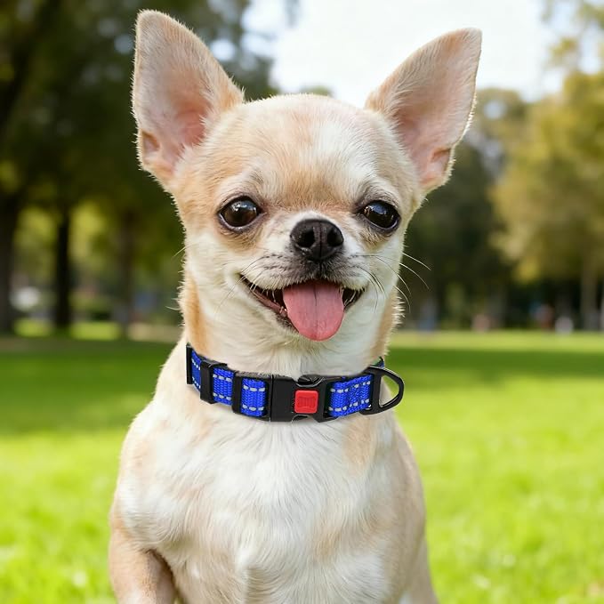 Taglory Reflective Dog Collar for Puppies with Escape-Proof Locking Buckle, Soft Neoprene Padded and Upgraded Zinc Alloy Ring, Adjustable for Chihuahua Yorkie, Blue,XS