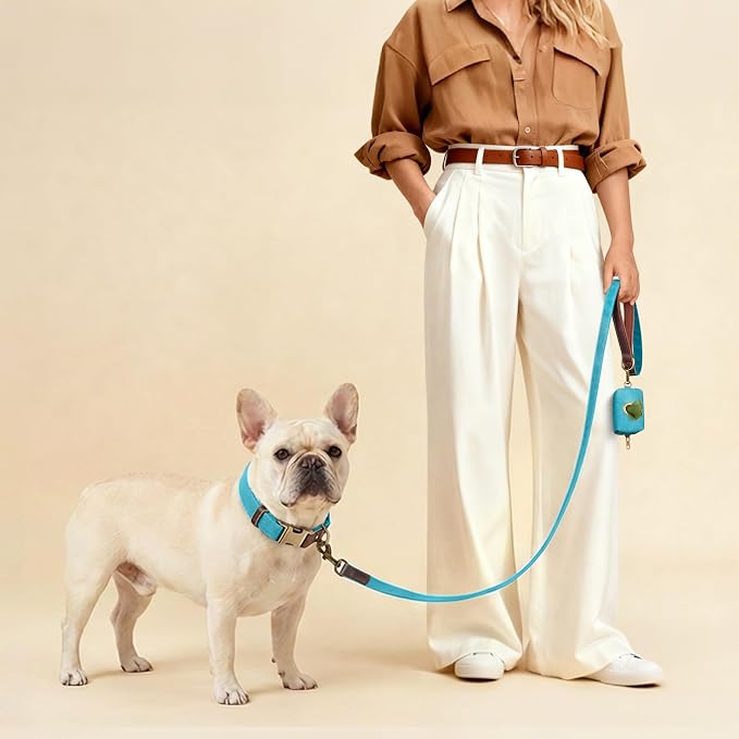 Didog Soft PU Leather Dog Collars for Medium Dogs,Classic Adjustable Dog Collars with Quick Release Metal Buckle,Easy Clean and Comfortable with Nylon Lining,Light Blue,M Neck 14-19"