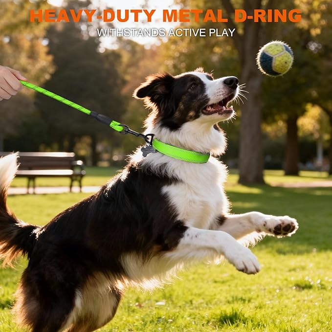 Taglory Reflective Dog Collar for Medium Dogs, Soft Neoprene Padded with Escape-Proof Locking Buckle, Upgraded Zinc Alloy Ring, Adjustable for Walking Female Male, Green,M