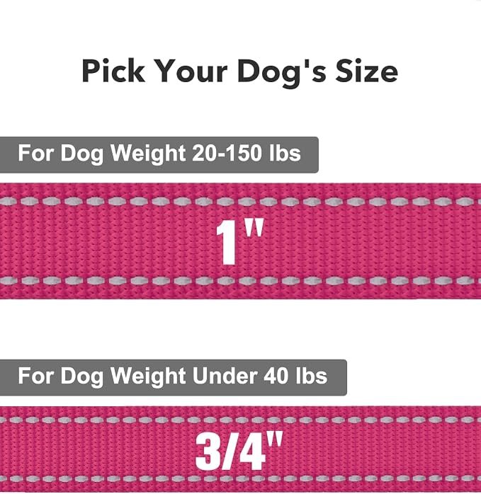 Taglory Dog Leash for Small Dogs, Double-Sided Reflective for Night Walking, Neoprene Padded Handle, 3/4 inch by 5 ft, Lightweight for Small Medium Breeds up to 30 lbs, Hot Pink