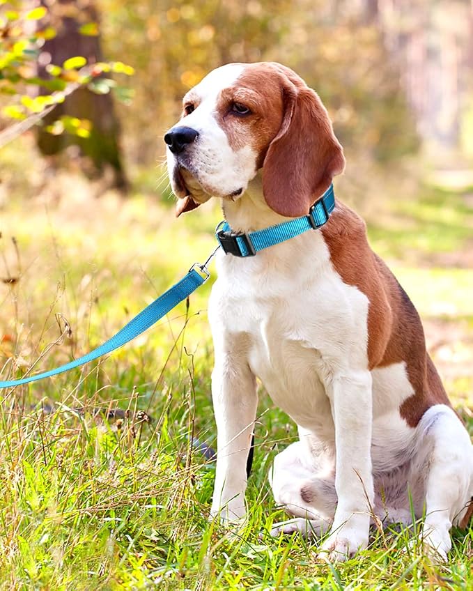 FunTags Length 14" - 20" Reflective Sky Blue Dog Collar for Medium Dogs – Night Walking & Training Safety, Durable Quick Release Buckle, Nylon, Comfortable Adjustable, Width 1"