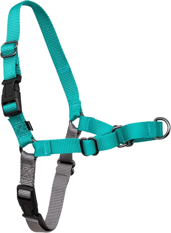PetSafe Easy Walk No-Pull Dog Harness - Ultimate Harness to Help Stop Pulling - Pull-Free Walks - Take Control & Teach Better Leash Manners - Patented Martingale Loop Design - Teal, Small