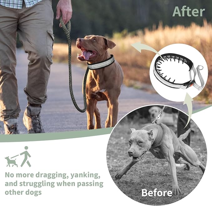 Mayerzon Martingale No Pull Collar for Medium Large Dogs, Patented Anti Pull Dog Collar with Buckle for Walking Training, with Neoprene Padding and Reflective Stitching, Adjustable(Grey, M)