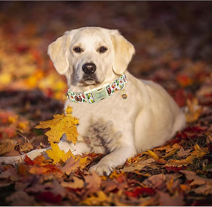 Lionheart glory Turkey Dog Collar, Thanksgining Day Dogs Collar Adjustable Soft Comfortable Collars for Small Dogs Girl or Boy Pet Gift Fall Cute Collar Quick Release Plastic Buckle