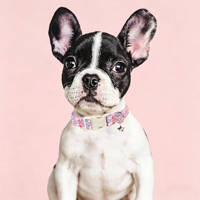 4th of July Dog Collar, Cute Pink Patriotic Dog Collars for Puppy Small Dogs - Independence Day Girly Pup Collars, Soft Adjustable Flag Day Female Dog Collar XS